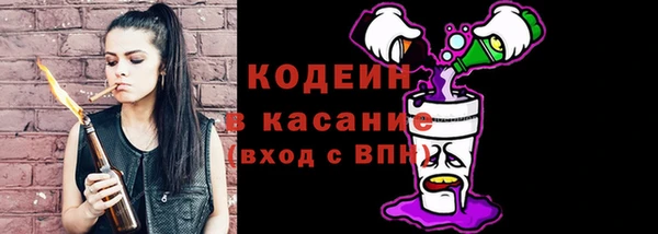 дживик Белокуриха