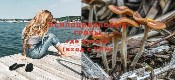 твердый Беломорск