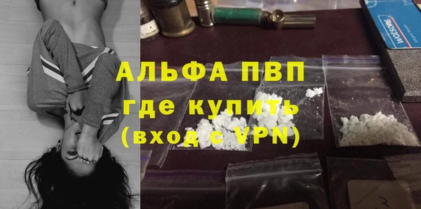 дживик Белокуриха